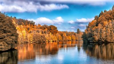 Autumn lake trees reflection wallpaper 4k wallpaper