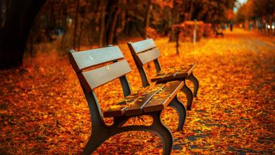 Autumn leaves bench 4k wallpaper