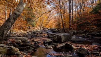 Autumn river stream 4k wallpaper