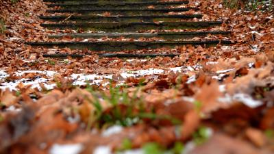Autumn steps foliage sno 4k wallpaper