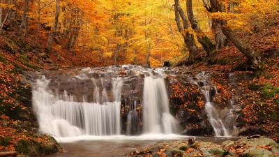 Autumn wood leaf fall falls cascades stones murmur wallpaper 4k wallpaper