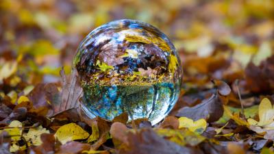 Ball glass sphere fall foliage 4k wallpaper