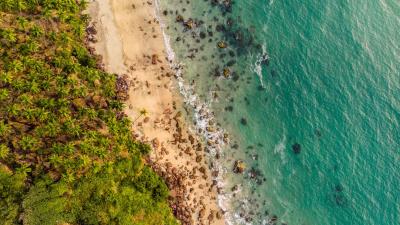 Beach aerial view shore 4k wallpaper