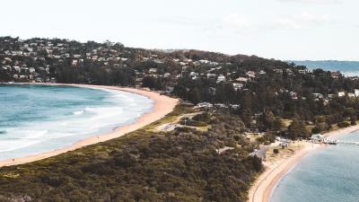 Beach forest sea 4k wallpaper