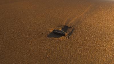 Beach sand stone 4k wallpaper