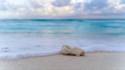 Beach stone foam 4k wallpaper