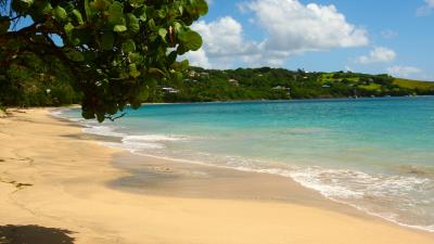 Beach tropics sea sand 4k wallpaper