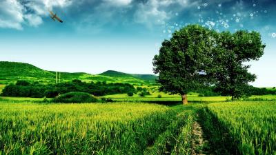 Beautiful Green Nature Fresh Spring Air Wallpaper 4k wallpaper