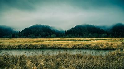 Beautiful nature mountains fog trees ze 4k wallpaper