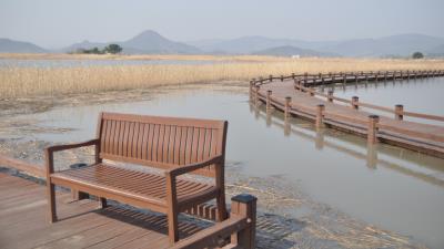 Bench river grass bay 4k wallpaper