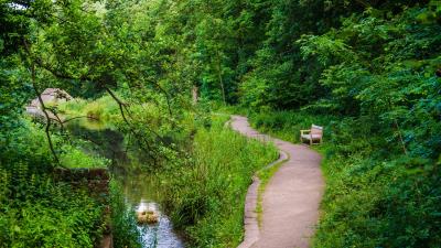 Bench trees trail 4k wallpaper
