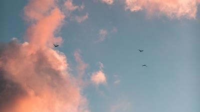 Birds clouds sky 4k wallpaper