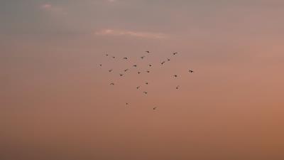 Birds mountains clouds 4k wallpaper