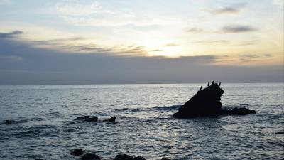 Birds rocks sea 4k wallpaper