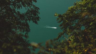 Boat branches water 4k wallpaper