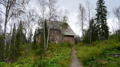 Botanical garden forest trees house 4k wallpaper