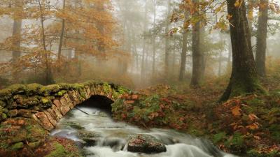 Bridge Autumn Ultra HD Wallpaper 4k wallpaper