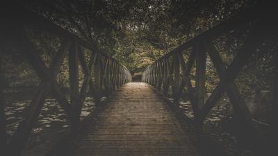 Bridge board trees 4k wallpaper