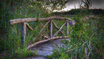 Bridge plants grass landscap 4k wallpaper