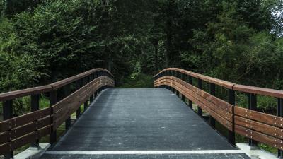 Bridge trees forest 4k wallpaper