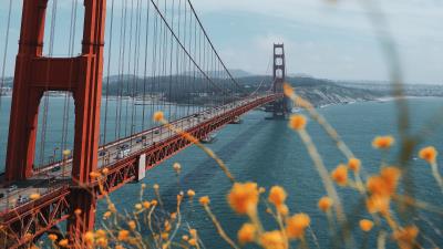 Bridge water shore 4k wallpaper