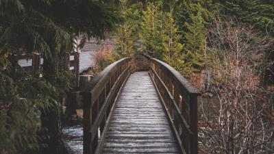 Bridge wooden river 4k wallpaper