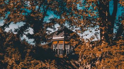 Building construction forest 4k wallpaper