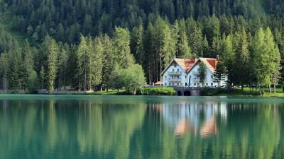 Building forest lake 4k wallpaper