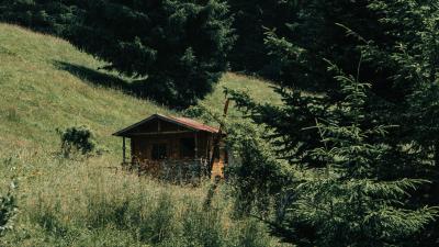 Building slope forest 4k wallpaper