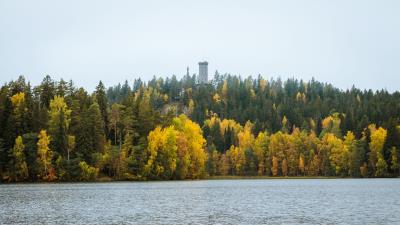 Building trees lake 4k wallpaper