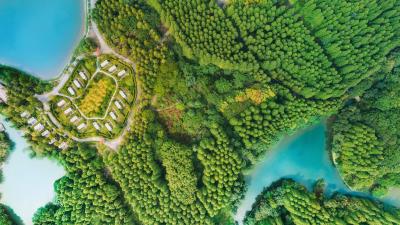 Buildings trees road 4k wallpaper