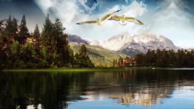 birds flight lake mountains freedom pair 4k wallpaper