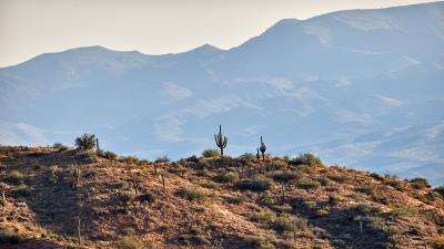 Cacti prairie hills image 4k wallpaper