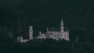 Castle trees neuschwanstein castle 4k wallpaper