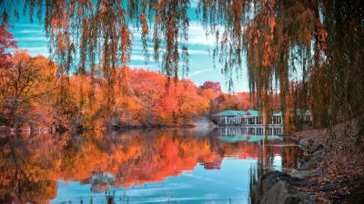 Central park new york autumn beautiful landscape wallpaper 4k wallpaper