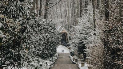 Church trees winter 4k wallpaper