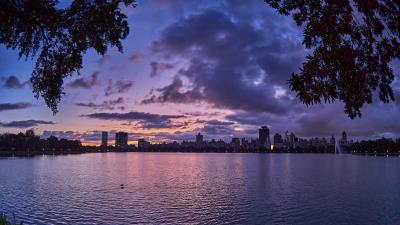 City dusk branches 4k wallpaper