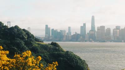 City flowers rocks 4k wallpaper