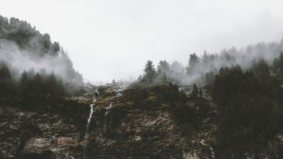 Cliff trees fog 4k wallpaper
