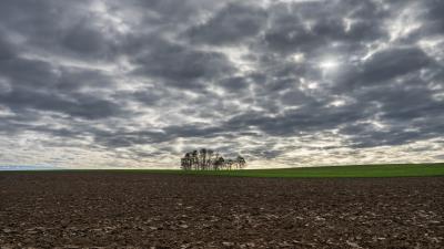 Cloud Field Horizon Nature Tree Wallpaper 4k wallpaper