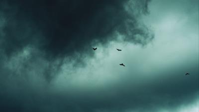 Clouds birds sky 4k wallpaper