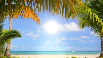 Coast boat sea palm trees wallpaper 4k wallpaper