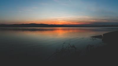 Coast branches sunset horizon 4k wallpaper