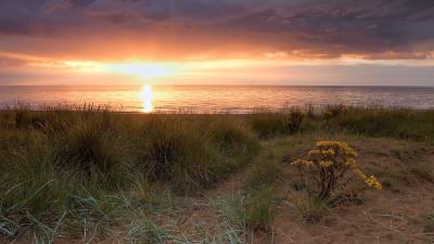 Coast horizon decline grass bushes sea sky light evening 4k wallpaper
