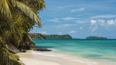 Coast palm sand 4k wallpaper