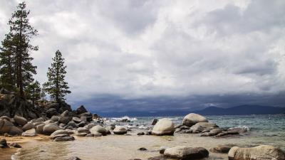 Coast stones spruce 4k wallpaper