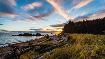 Coast sunset forest 4k wallpaper