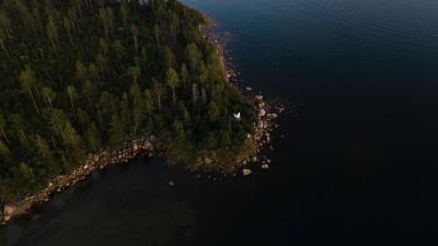 Coast trees aerial view 4k wallpaper