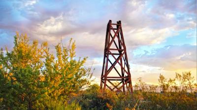 Construction bushes metallic 4k wallpaper