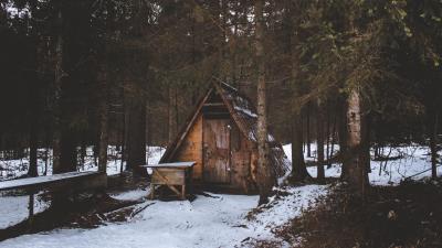 Construction forest trees snow 4k wallpaper